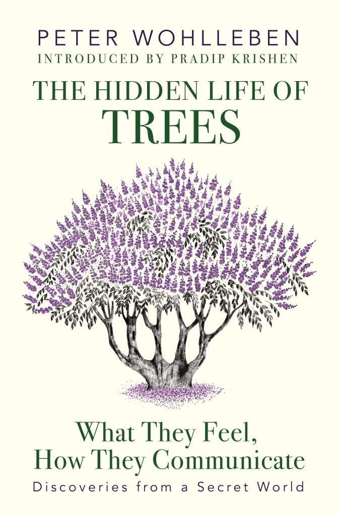 THE HIDDEN LIFE OF TREES by Peter Wohlleben