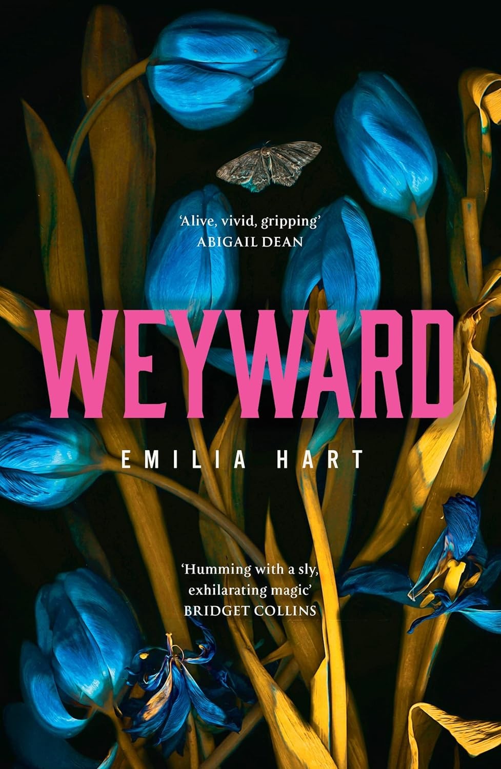 WEYWARD by Emjlia Hart