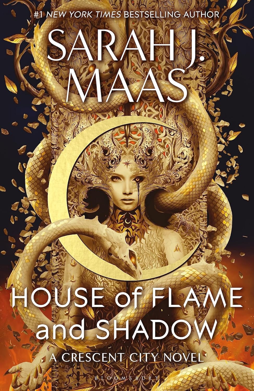 House of Flame and Shadow by Sarah J
