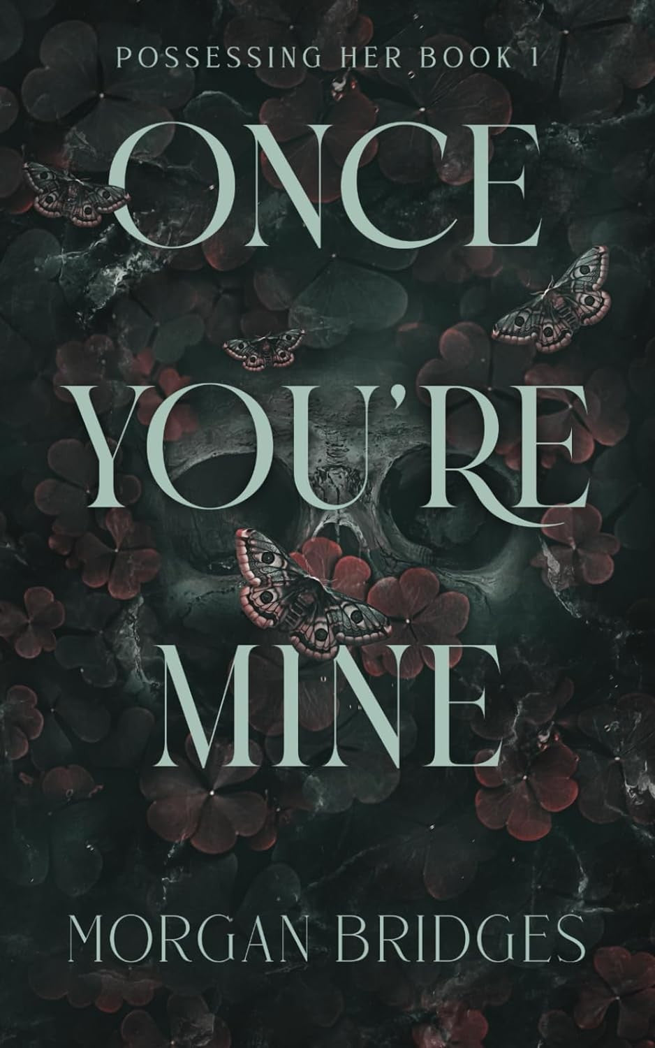 Once You're Mine: A Dark Stalker Romance ()