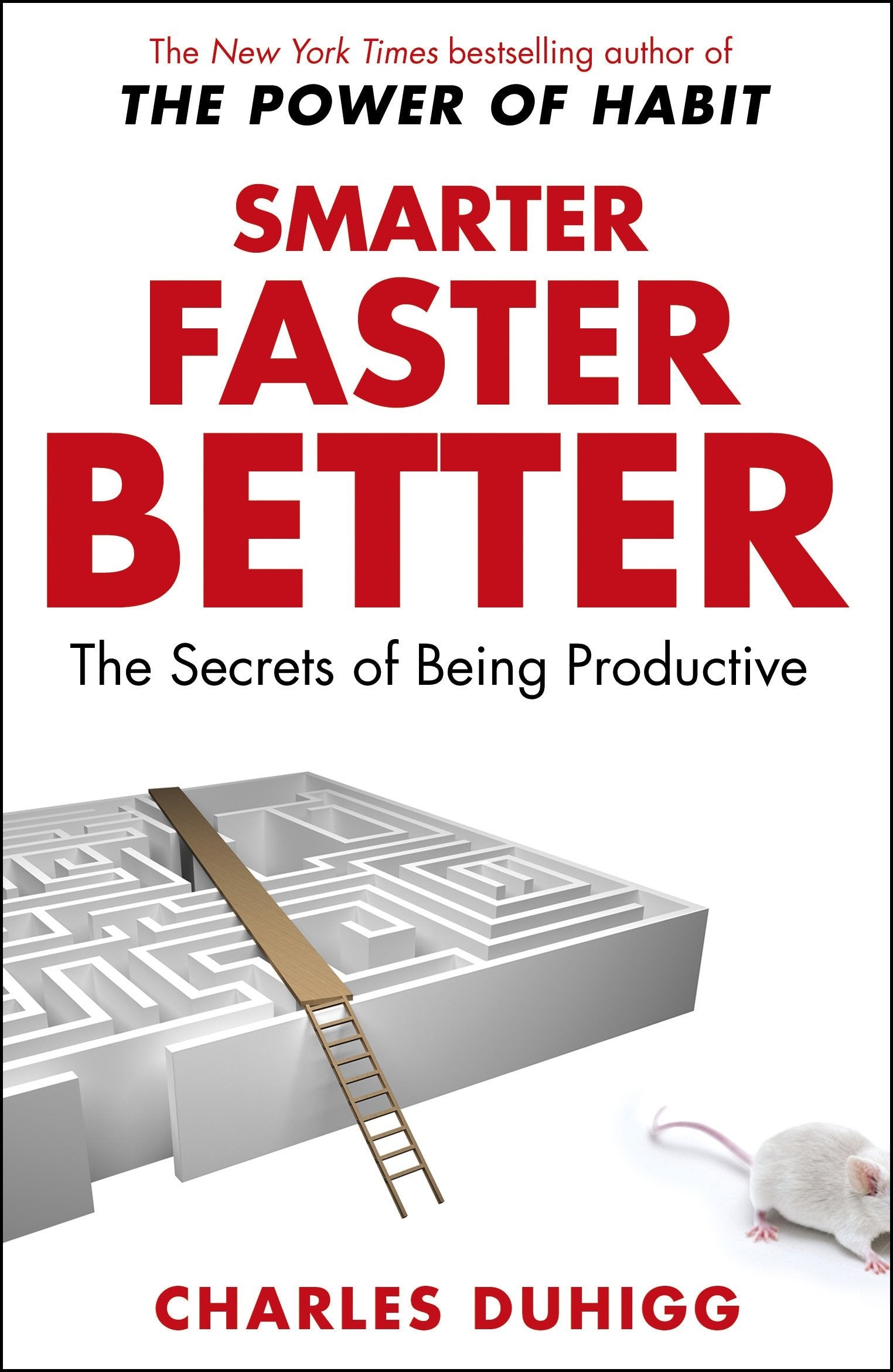 Smarter Faster Better by Charles Duhigg