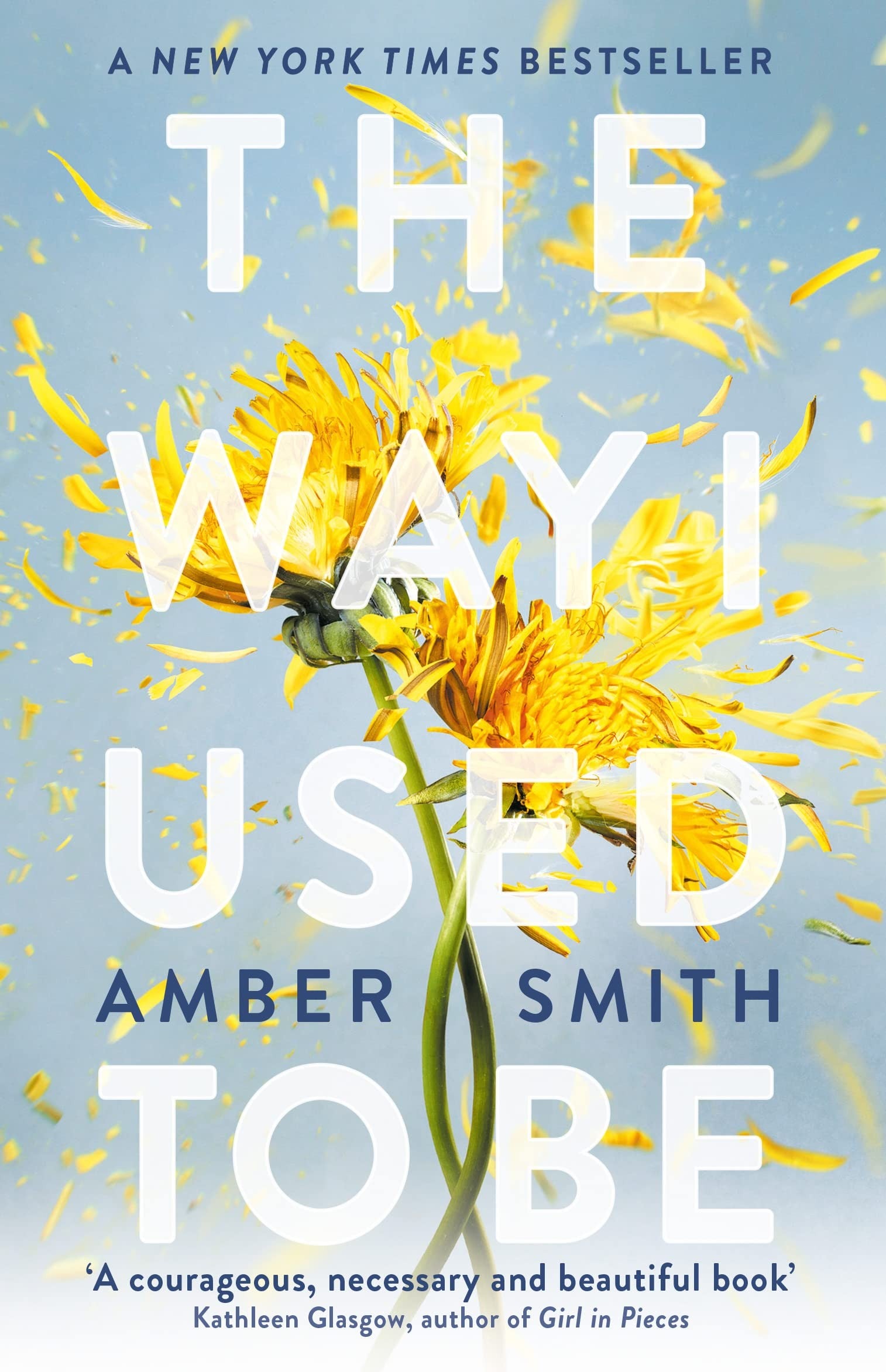 The Way I Used To Be by Amber Smith