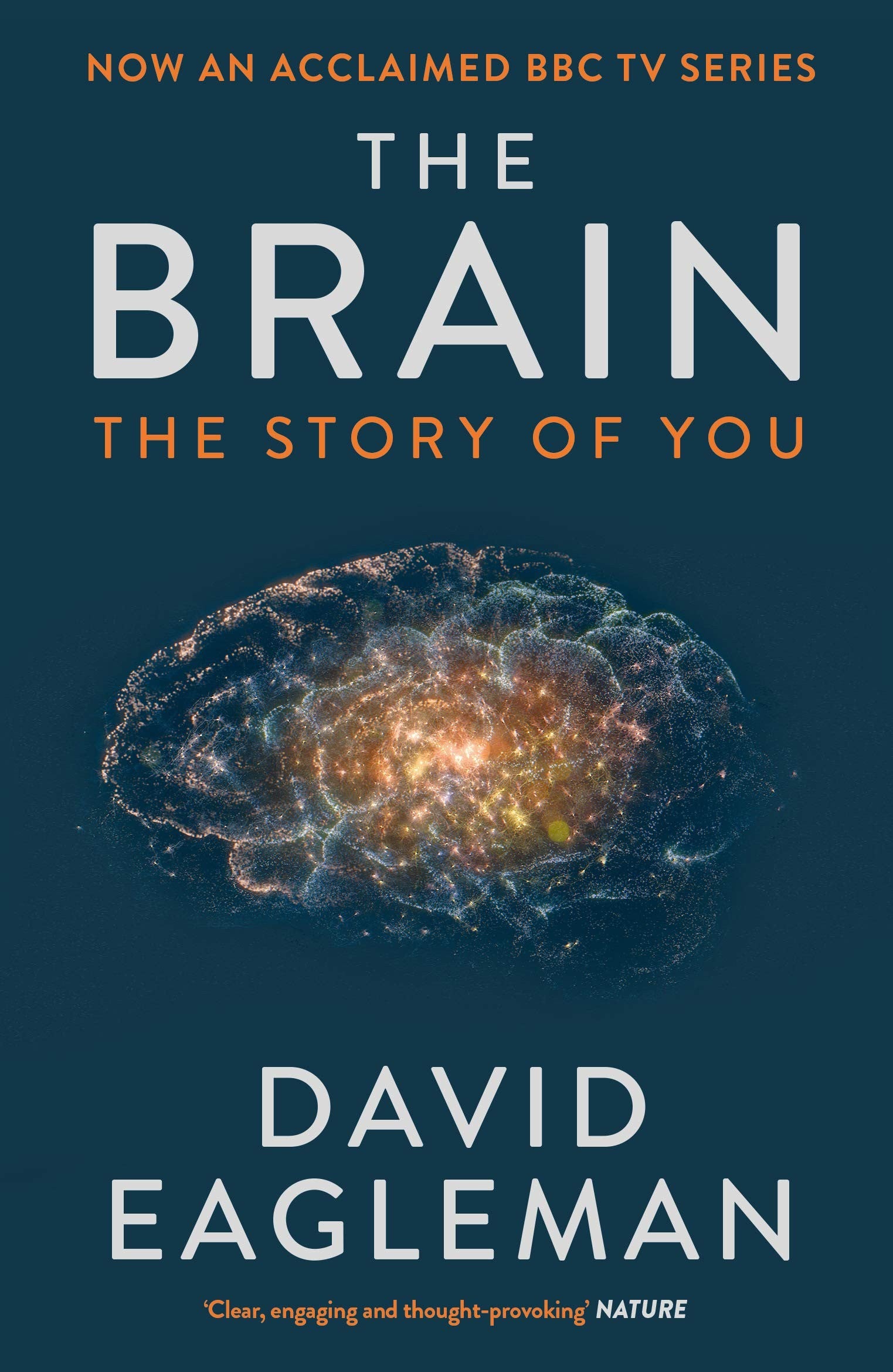 The Brain by David Eagleman